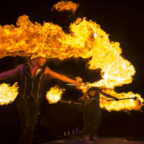 static-feuer-show-1.jpg