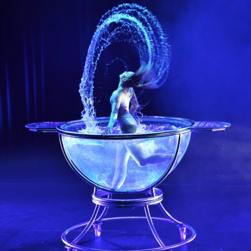 static-waterbowl-1.jpg